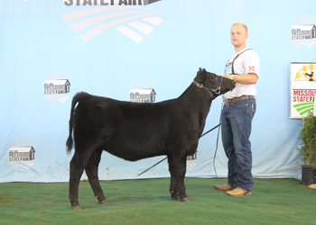 Reserve Junior Heifer Calf Champion