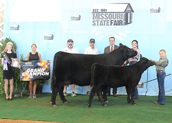 Grand Champion Cow-calf Pair