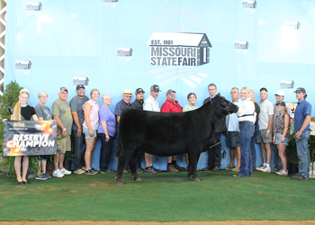 Reserve Grand Champion Female