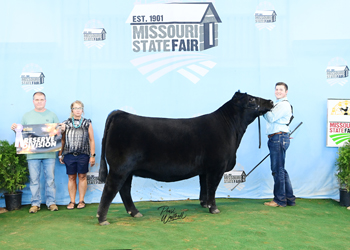 Reserve Early Junior Champion Heifer