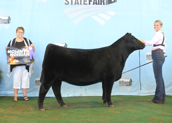 Intermediate Champion Heifer