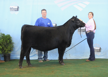 Early Senior Heifer Calf Champion