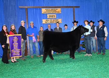 Grand Champion Female