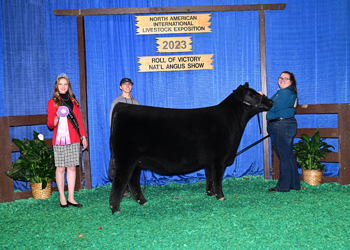 Reserve Intermediate Champion Heifer