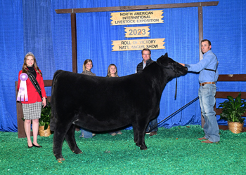 Reserve Junior Champion Heifer - Div 2