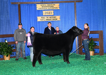 Reserve Senior Heifer Calf Champion