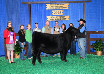 Senior Heifer Calf Champion - Div 2