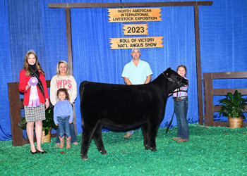 Reserve Junior Heifer Calf Champion - Div 2