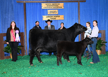 Owned Reserve Senior Champion Female