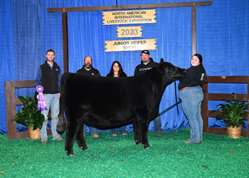 Bred-and-owned Junior Champion Heifer