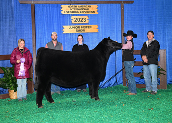 Owned Reserve Junior Champion Heifer