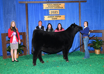 Owned Reserve Intermediate Champion Heifer