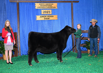 Owned Res Senior Heifer Calf Champion - Division 2