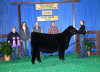 Bred-and-owned Senior Heifer Calf Champion