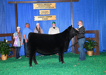 Bred-and-owned Reserve Senior Heifer Calf Champion