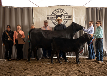 Reserve Grand Champion Cow-calf Pair