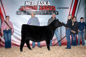 Reserve Grand Champion Owned Female