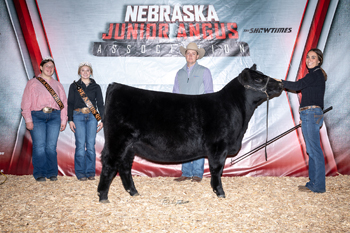 Grand Champion Owned Female