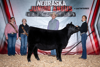 Grand Champion Bred-and-owned Female