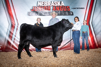 Reserve Grand Champion Bred-and-owned Bull