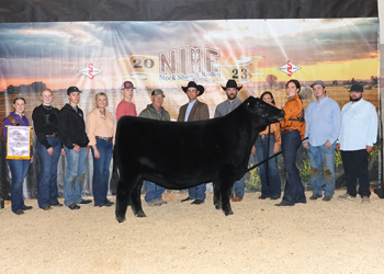 Reserve Grand Champion Female