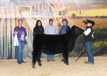 Grand Champion Bred-and-owned Female