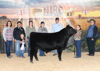 Reserve Grand Champion Bred-and-owned Bull