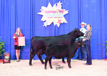 Bred-and-owned Reserve Champion Mature Cow-calf Pair