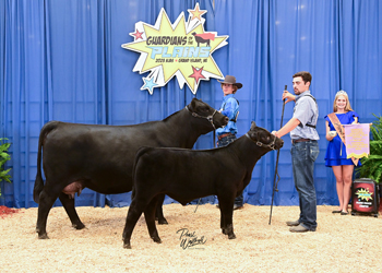 Owned Reserve Champion Mature Cow-calf Pair