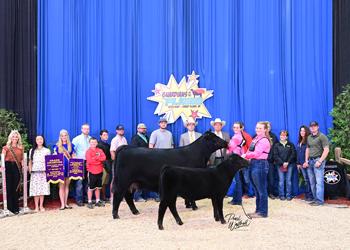 Grand Champion Owned Cow-calf Pair