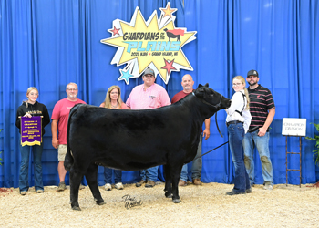 PGS Heifer Division 4