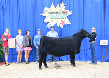 Reserve Late Senior Champion