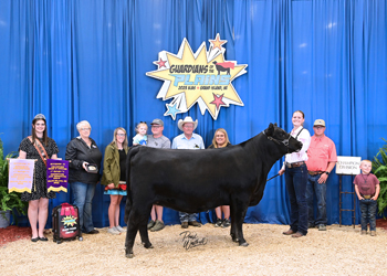 PGS Reserve Heifer Division 4