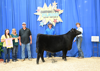 Owned Reserve Junior Champion Heifer--division 3