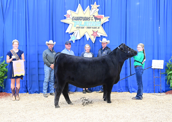 Owned Reserve Junior Champion Heifer--division 5