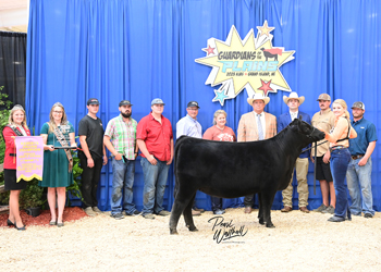 Reserve Grand Champion Bred-and-owned Female