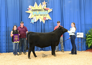 PGS Heifer Division 2