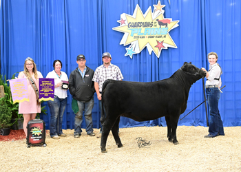 PGS Reserve Heifer Division 2