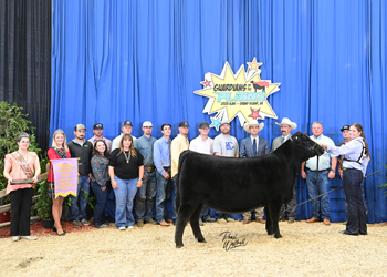 Reserve Grand Champion Owned Female