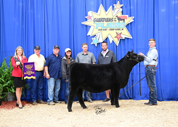 Owned Heifer Calf Champion Division 3