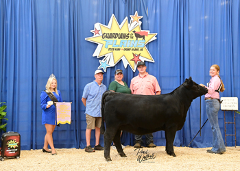 Reserve Late Summer Heifer Champion