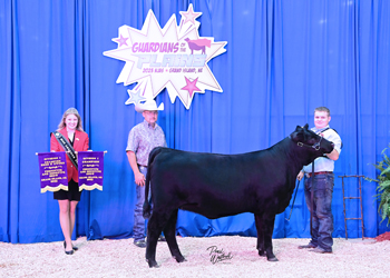 PGS Heifer Division 1