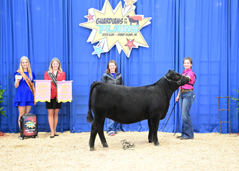 PGS Reserve Heifer Division 1