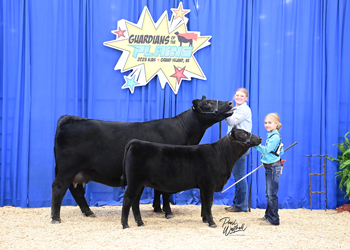 Owned Cow-calf Class 5