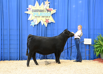 Owned Heifer Class 21