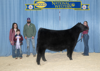 Reserve Intermediate Champion Heifer