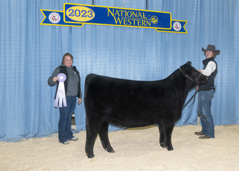 Reserve Senior Heifer Calf Champion