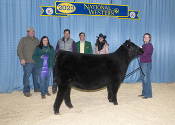 Senior Heifer Calf Champion