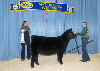 Reserve Summer Heifer Calf Champion