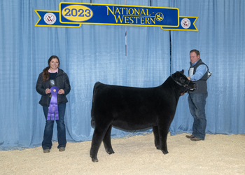 Summer Heifer Calf Champion